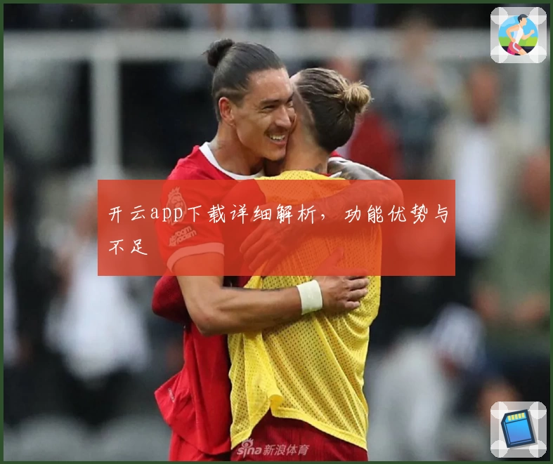 开云app下载详细解析，功能优势与不足