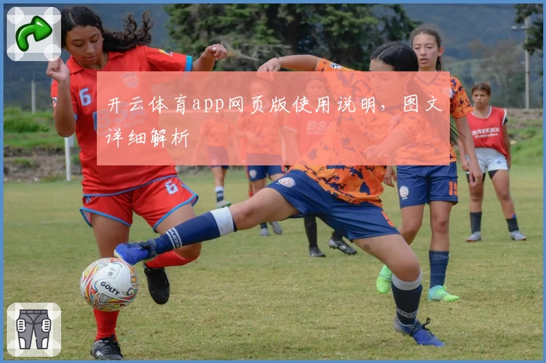 开云体育app网页版使用说明，图文详细解析