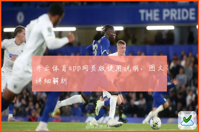 开云体育app网页版使用说明，图文详细解析