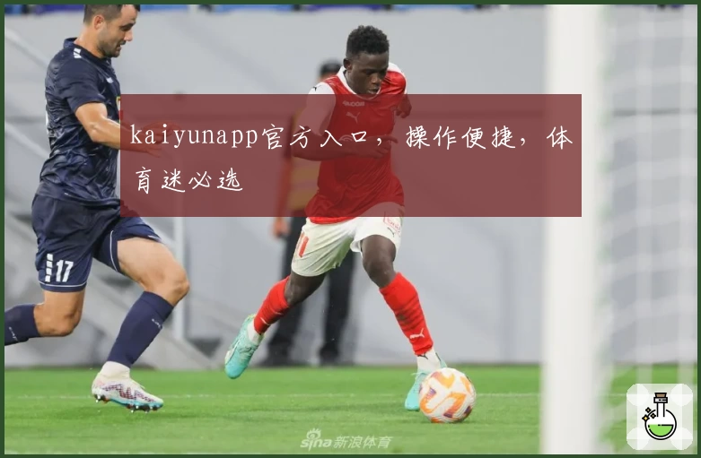 kaiyunapp官方入口，操作便捷，体育迷必选